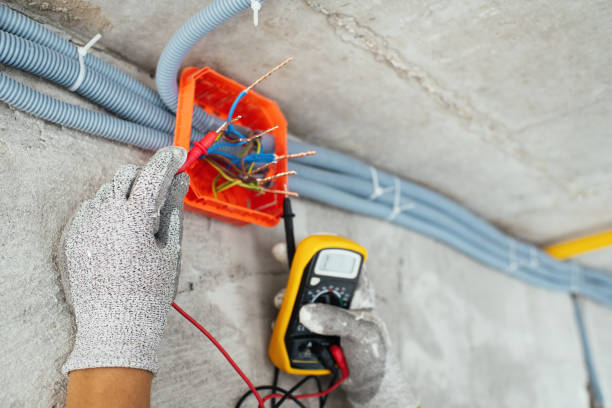 Best Electric Panel Repair  in Wallenuck Lake Estates, PA